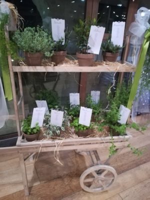 Tableau con piantine aromatiche